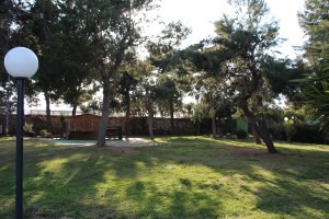 verde1  